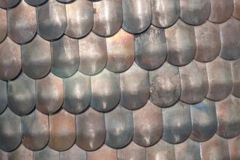Close-up of fish scales, overlapping pattern, varying metallic and shaded c.. Stock Photos