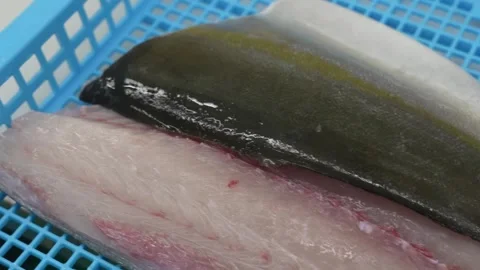 Close up of fish skin pattern on freshly trimmed fillet edge Stock Footage 339245116