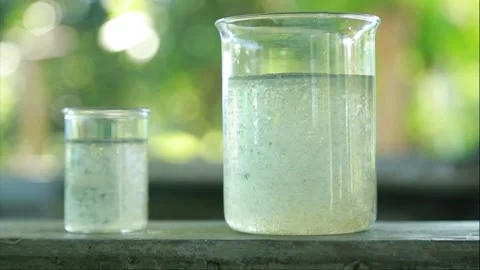 Close up of fish spawn swimming underwater inside a glass container 4k file 72 Stock Footage 339268465