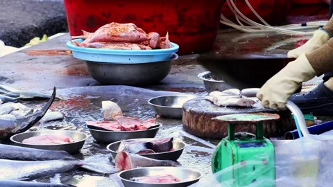 Close up of fish vendor hands cutting fresh fish at a local seafood market Stock Footage 327085648