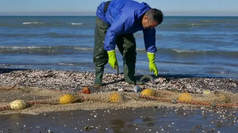 Close-up of fishermen in waders sorting fresh fish on shoreline Stock Footage 320463013