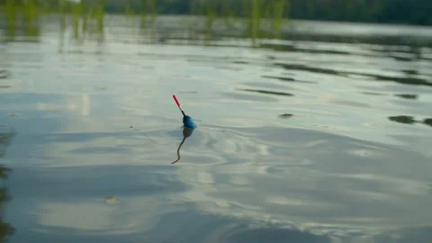 Close-up of fishing float on water surface alerting fish biting during angling Video stock 209809370