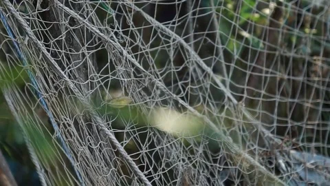 Close up of a fishing net Stock Footage 85029791