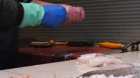 Close up of a fishmonger cleaning fresh squids Stock Footage 124251063