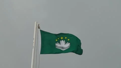 Close up Flag of Macau waving on Cloudy day background Stock Footage 271629425