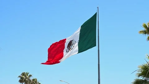 Close-up Flag of Mexico in the central zone of Ensenada. The flag flutters in Stock Footage 244672158