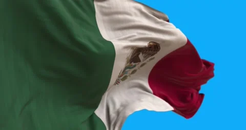 Close-up of the flag of Mexico. The Mexican flag flutters in the wind. Stock Footage 156799636