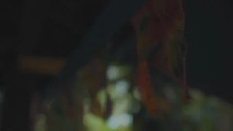 Close flags in the cieling Stock-Footage 151898864