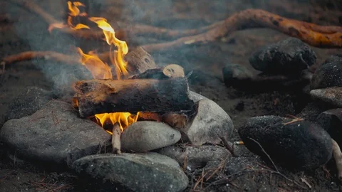 Close-up of a flame of fire. Burning wood in 4k video. Stock Footage 111446085