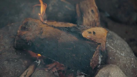 Close-up of a flame of fire. Burning wood in 4k video. Stock Footage 111446119