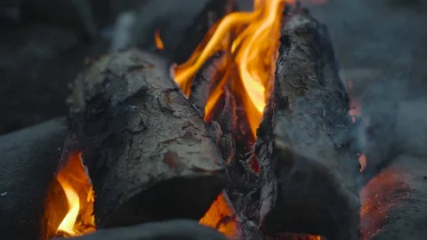 Close-up of a flame of fire. Burning wood in 4k video. Stock Footage 111446465