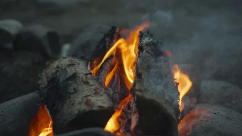 Close-up of a flame of fire. Burning wood in 4k video. Stock Footage 111446485