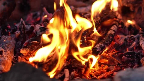 Close-Up of Flames and Embers in Campfire. Stock Footage 263748490