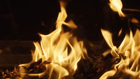 Close-Up Flames Burning in Dark, Fire Texture Background Stock Footage 346176081