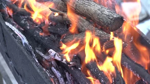Close-up flames of a campfire, wood, coals, ash. Stock Footage 188760622