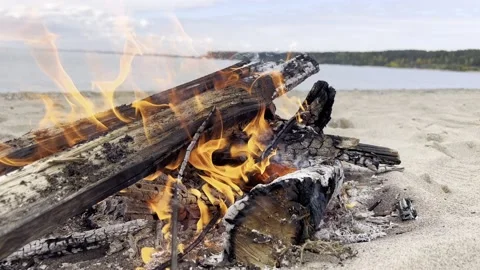 Close-up, flames from the fire. bonfire, logs are burning, sparks are flying. 4k Stock Footage 219726392