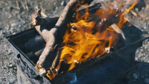 Close-up, flames from fire. Day bonfire, logs are on fire Stock Footage 167708391