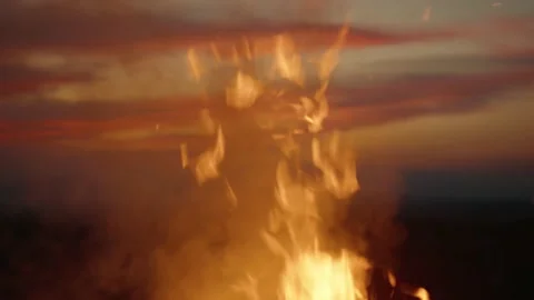 Close-up, flames from fire. Night bonfire Stock Footage 239152088