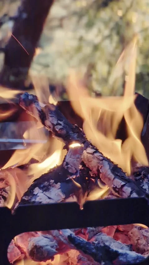 Close-up, flames from fire. Night bonfire, logs are on fire, sparks fly. 4k, Stock Footage 341668296