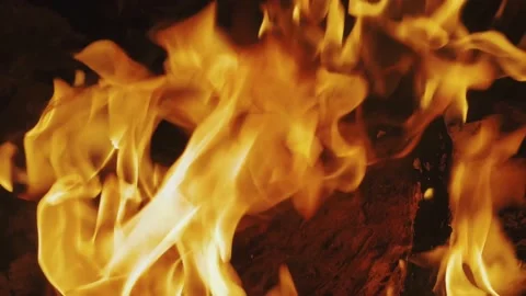 Close-up, flames from the fire. Night fire, burning wood, flying sparks. Vídeos de archivo 218223625