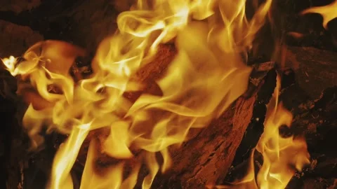 Close-up, flames from the fire. Night fire, burning wood, flying sparks. Video stock 219348448