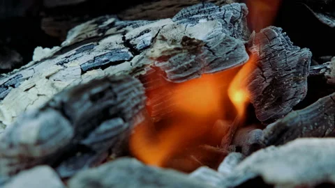 Close-up of flames with sparks. Burning tree or wood in a fire pit. Stock Footage 142654546