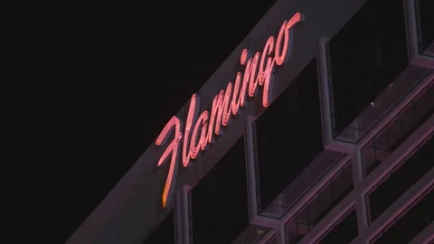 Close-up of Flamingo logo Vídeos de archivo 336669629