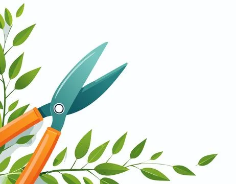 Close-up flat illustration of orange-handled pruning shears cutting fresh g.. Stock Illustration
