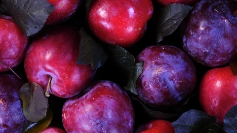 Close up flat-lay view of ripe fresh plums with dark red leaves rotating in 4K Vídeo Stock 90900000