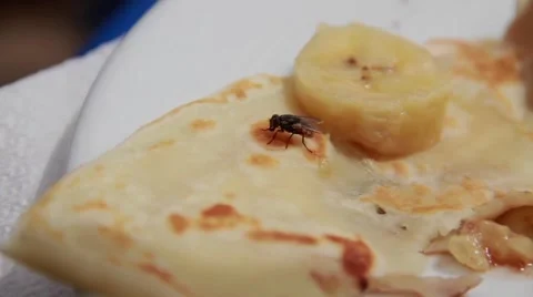 Close Up of Flies on Food- Stock Footage