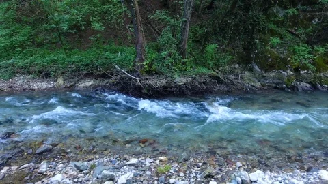 Close flight over fast mountain river with foamy rapids Stock Footage 101619012