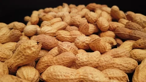 Close up flight over peanuts Stock Footage 143226958