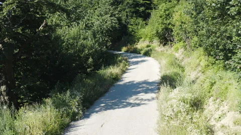 Close up flight over a small mountain road surrounded by a thick forest Stock Footage 136830594