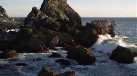 Close flight past rocks along the Santa Catalina shore, California; gulls and Stock Footage 59118892