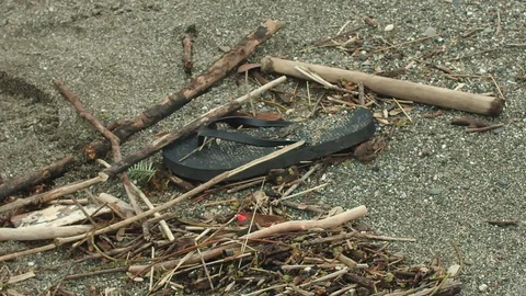 Close-up of a flip-flop on the beach. Stockbeeldmateriaal 102297514