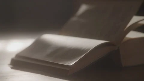 Close Up Of Flipping Book Pages Stock Footage 208806018