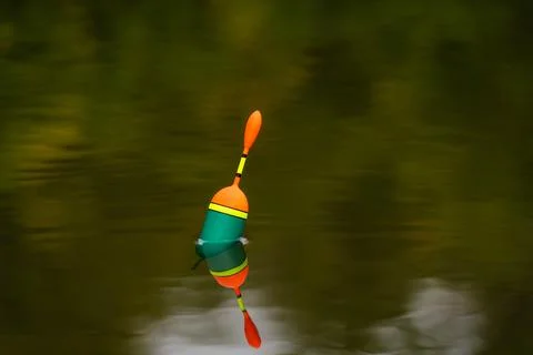 A close-up of the float signals a bite in calm water. Stock Photos