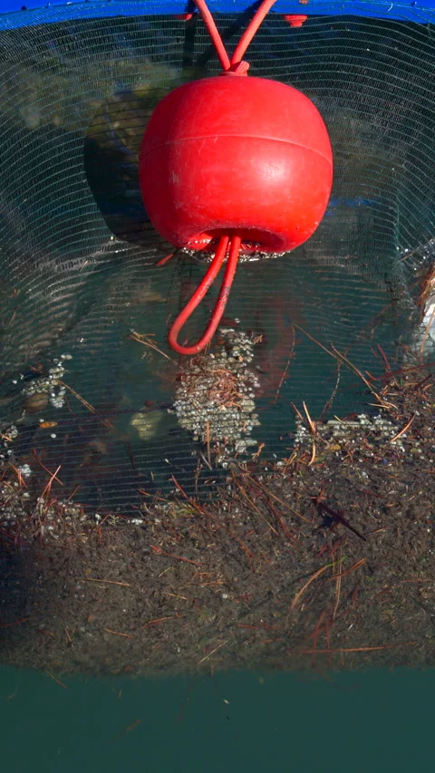Close up of a floating marine debris collection device in the water. Vertical Stock Footage 306411345