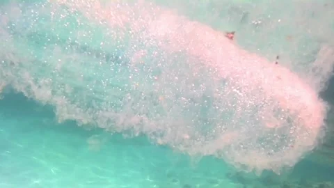 Close-Up of a Floating Pyrosome Near the Ocean Surface in the Red Sea Stock Footage 340328095