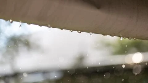 Close-up of floating raindrops shimmering in the lightClose-up of floating .. Stock Photos