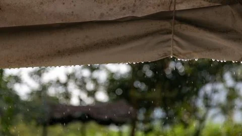 Close-up of floating raindrops shimmering in the lightClose-up of floating .. Stock Photos