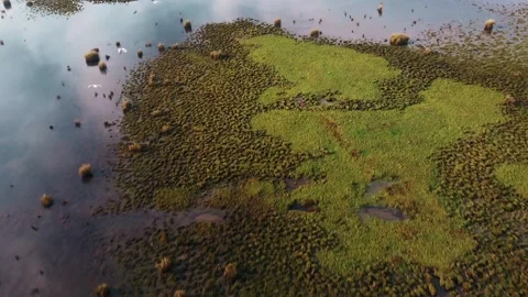 Close up flock of birds flying beanith the camera reflecting lake slow motion Stock Footage 170756356