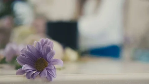 Close-up: a florist assembles a composition of flowers Video stock 73488667