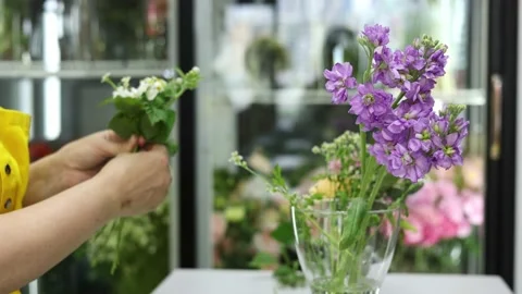 Close-up: florist assembles a composition of flowers. Masterclass o florist at Video stock 155069683