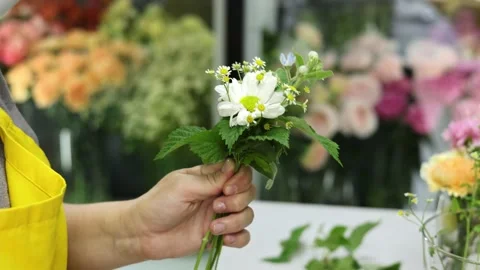 Close-up: florist assembles a composition of flowers. Masterclass o florist at Video stock 155070045