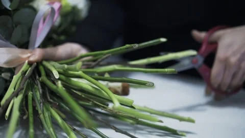 Close up of a florist cutting flower branches with scissors 스톡 동영상 76328075