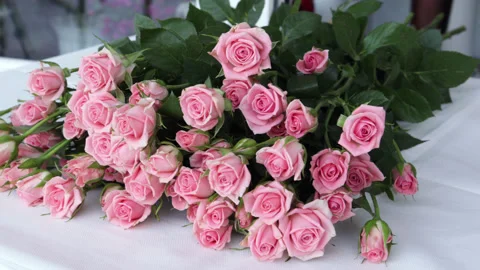 Close up florist hands working in flower shop studio. Stock Footage 182373226