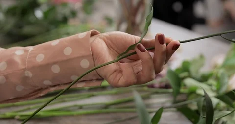 Close Up: Florist Rip Off Leafs From Green Stock Footage 124573328