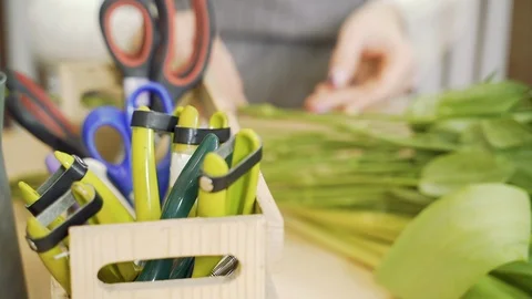 Close up of florist work tools secateurs and scissors in flower shop or workshop Stock Footage 123488688