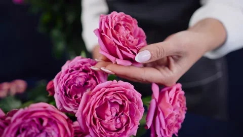 Close-up of the florist's hands stroking and touching pink roses. A florist Stock Footage 160288325